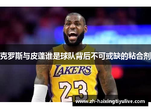 克罗斯与皮蓬谁是球队背后不可或缺的粘合剂